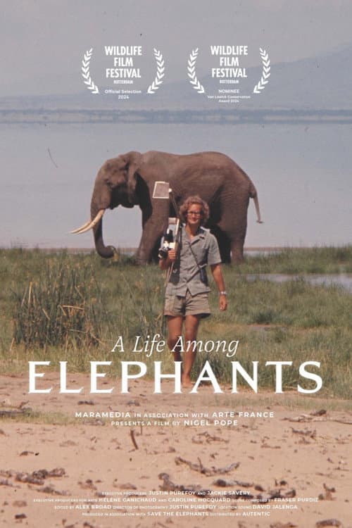 A Life Among Elephants (2024) poster