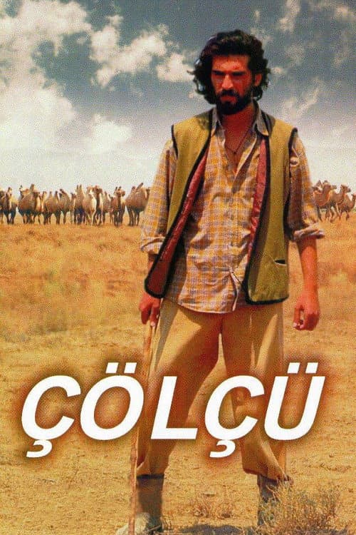 Çölçü (2012) poster