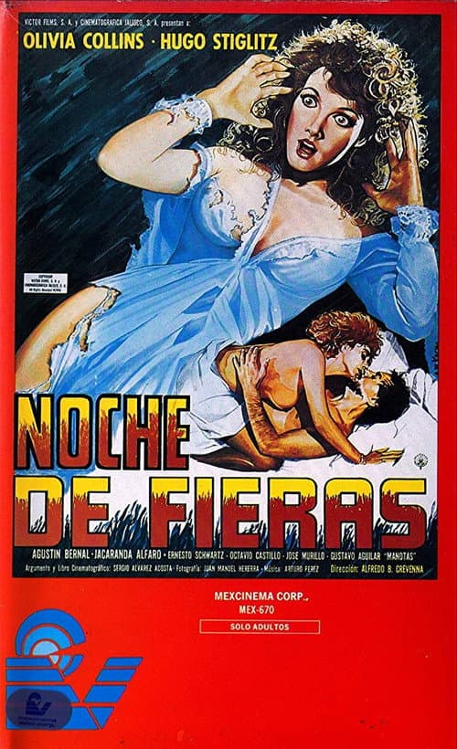 Noche de fieras (1990) poster