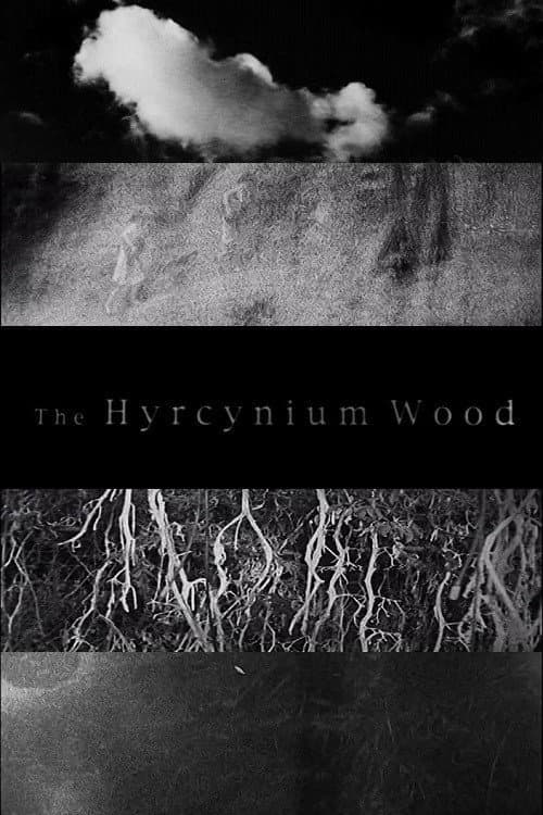 The Hyrcynium Wood (2005) poster
