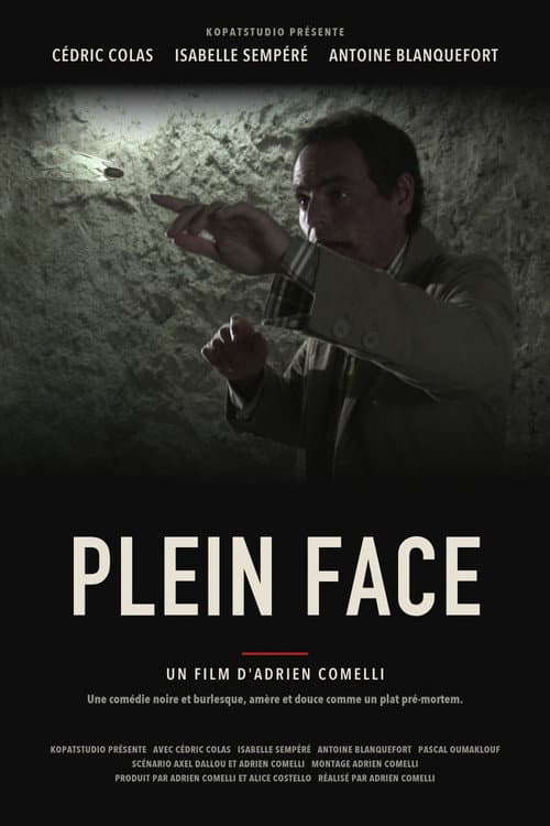 Plein face (2008) poster
