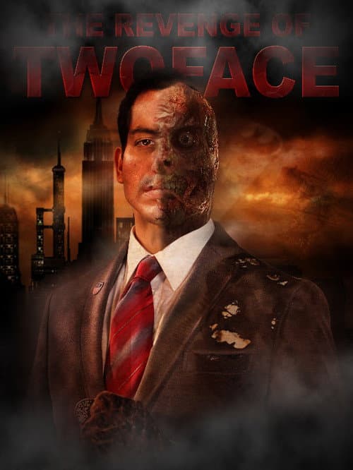 Batman: Two Face's Revenge (2013) poster