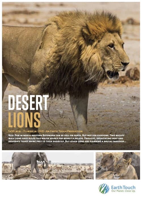 Desert Lions (2017) poster