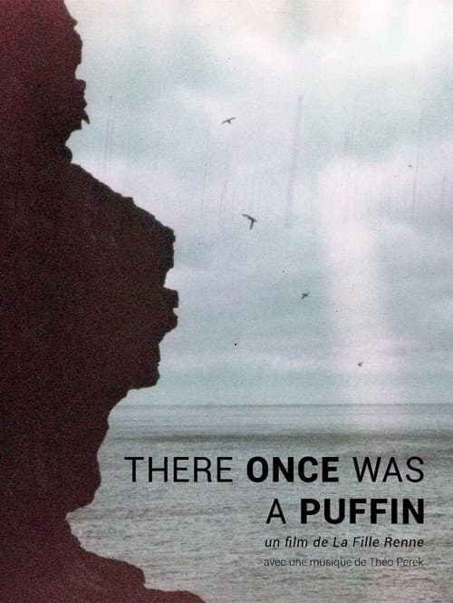 There Once was A Puffin (2026) poster