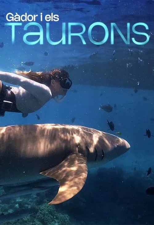 Gàdor i els taurons (2024) poster