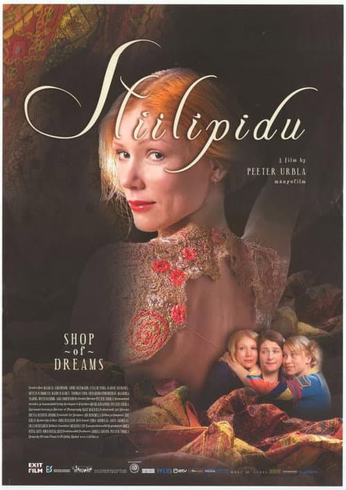 Stiilipidu (2005) poster
