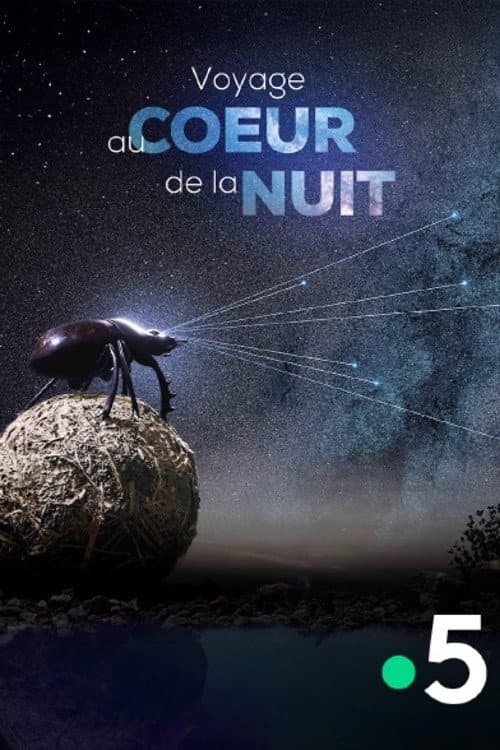 Voyage Au Coeur De La Nuit (2025) poster