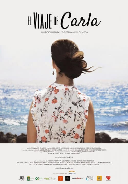 El viaje de Carla (2014) poster