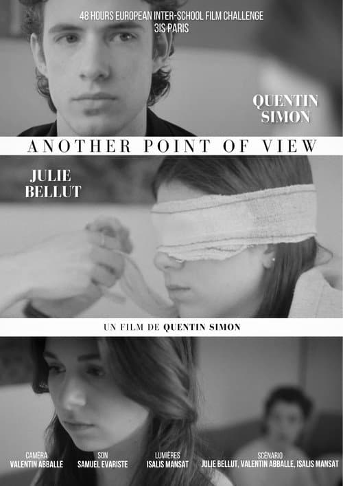 Another Point Of View (2026) poster