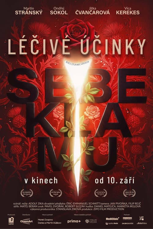 Léčivé účinky sebeklamu (2026) poster