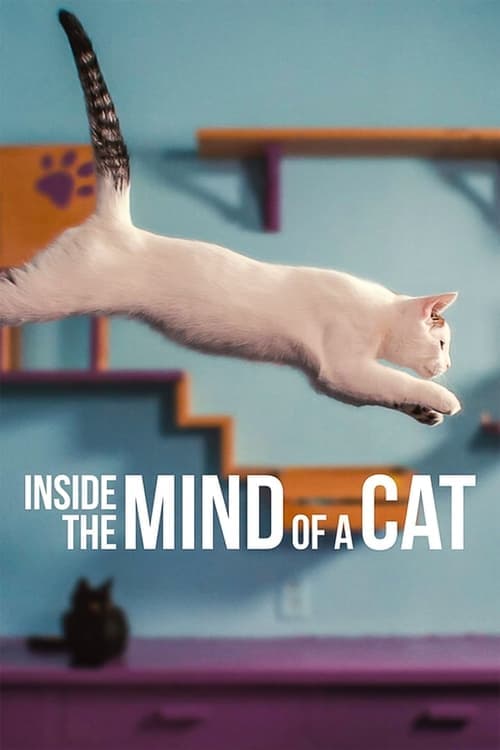 Inside the Mind of a Cat (2022) poster