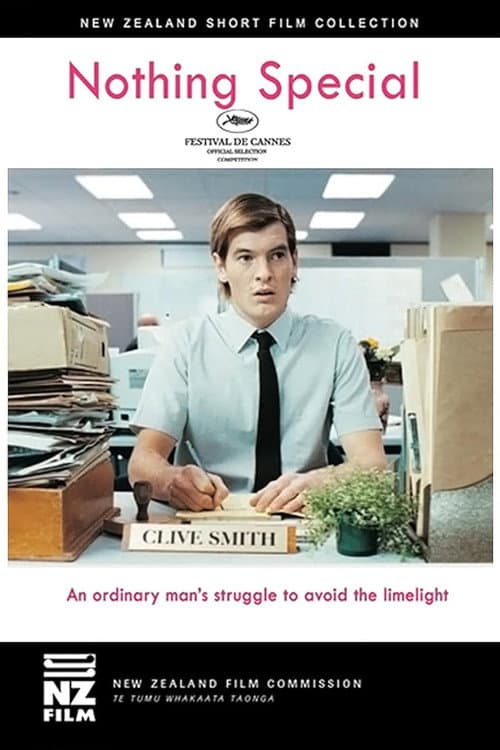 Nothing Special (2005) poster
