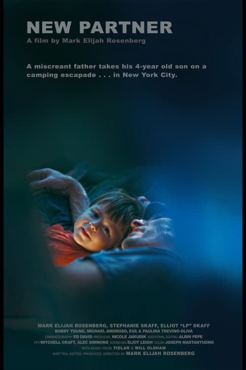 New Partner (2025) poster
