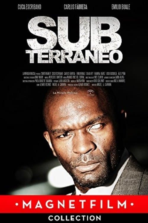 Subterráneo (2013) poster
