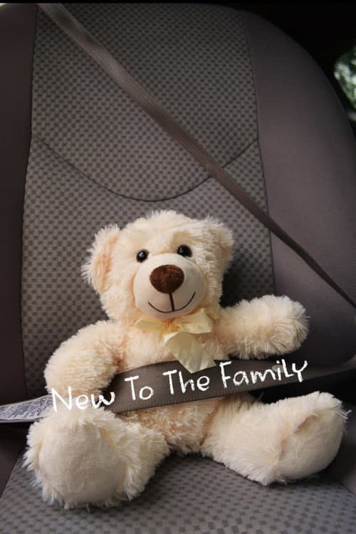 New To The Family (2023) poster
