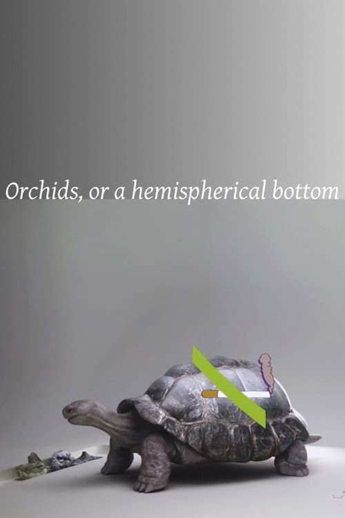 Orchids, or a hemispherical bottom (2013) poster