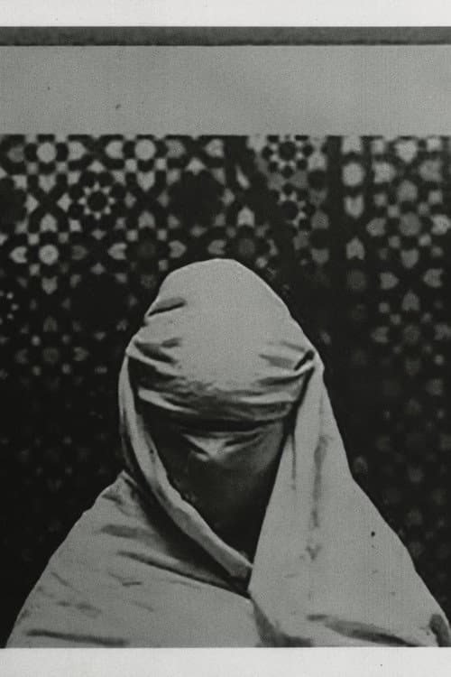 The Fold (2026) poster