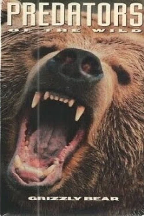 Predators of the Wild: Grizzly Bear (1992) poster