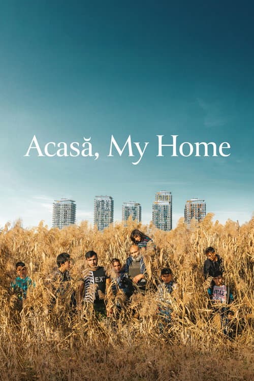 Acasă (2020) poster