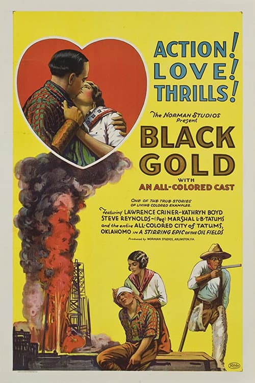 Black Gold (1928) poster