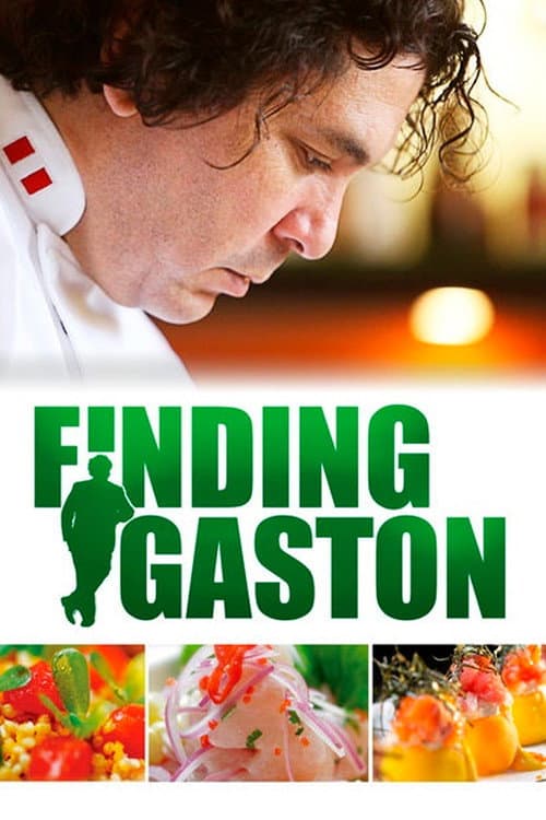 Buscando a Gastón (2014) poster
