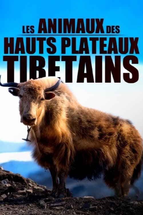 Les animaux des hauts plateaux tibétains (2020) poster