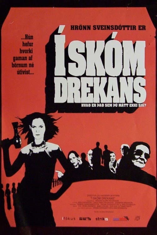 Í skóm drekans (2002) poster