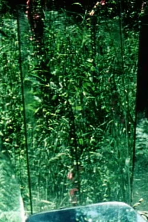 Peripeteia II (1978) poster
