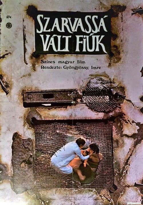 Szarvassá vált fiúk (1973) poster