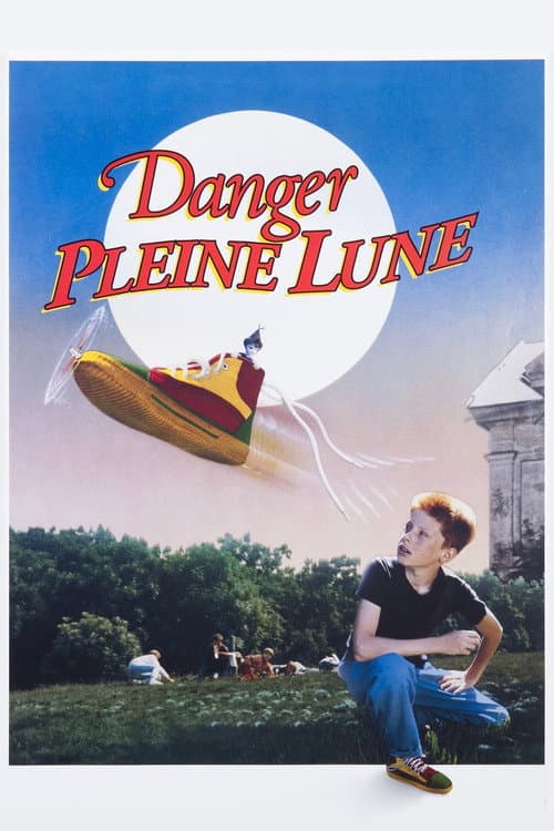 Motýlí čas (1991) poster
