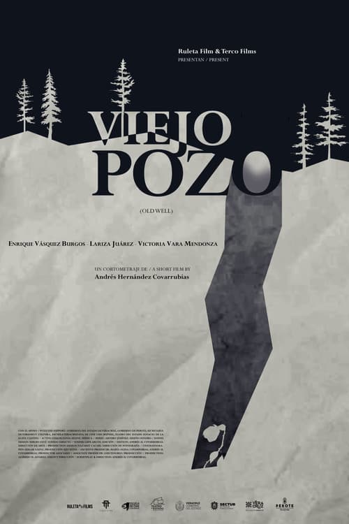Viejo Pozo (2024) poster