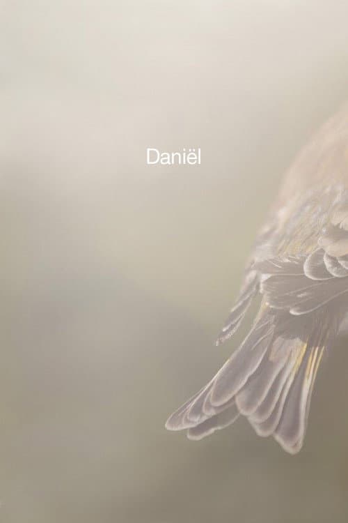 Daniël (2012) poster