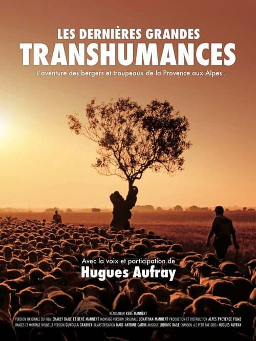 Les dernières grandes transhumances (2025) poster
