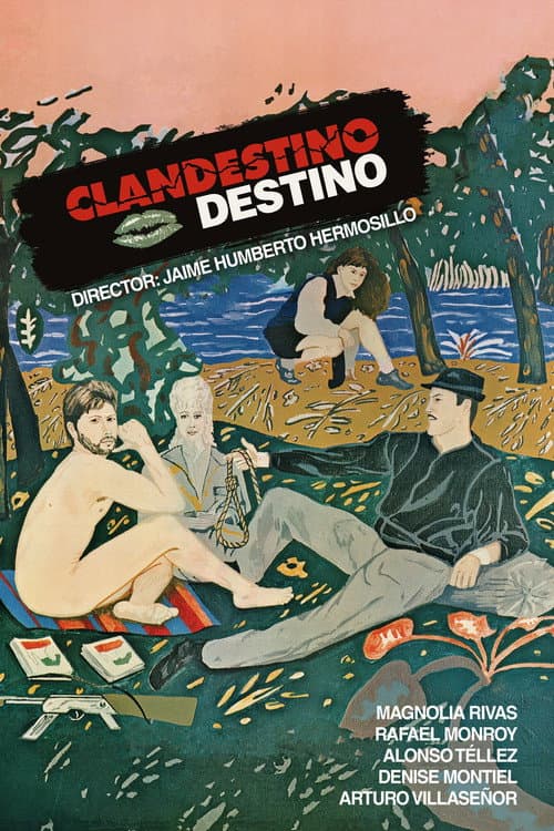 Clandestino destino (1987) poster