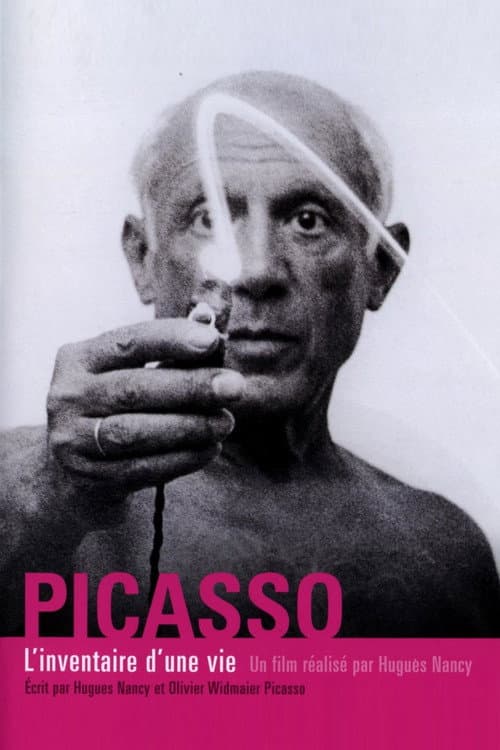 Picasso, l'inventaire d'une vie (2014) poster