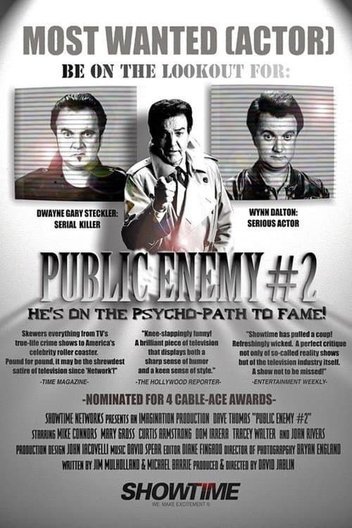 Public Enemy #2 (1991) poster