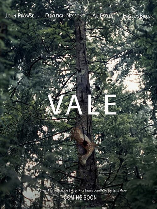 Vale (2023) poster