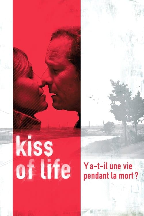 Kiss of Life (2003) poster