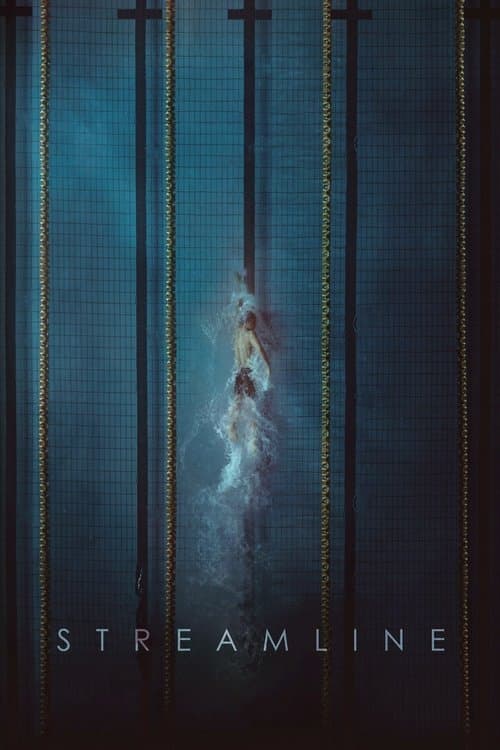 Streamline (2021) poster