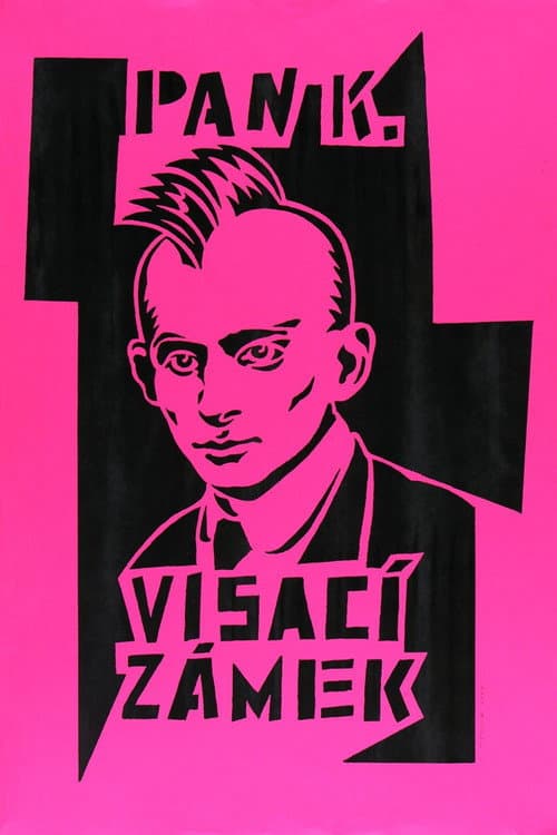 Visací zámek 1982-2007 (1993) poster