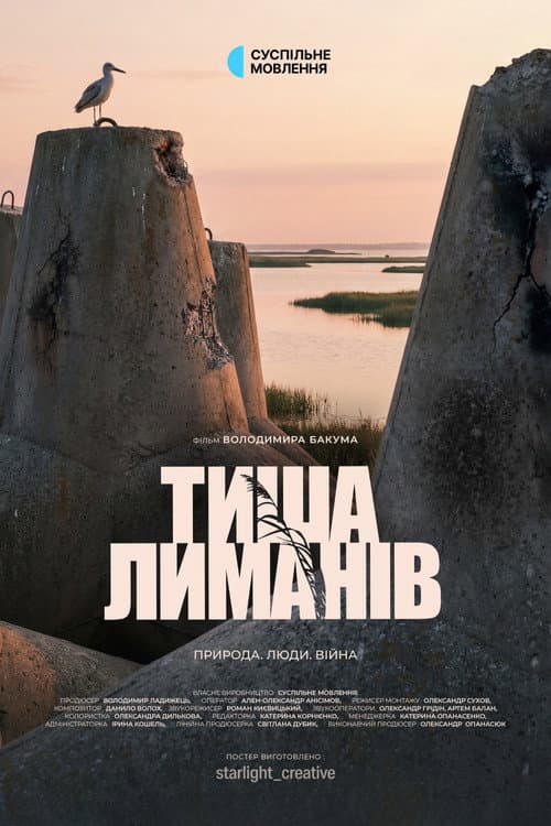 Тиша лиманів (2026) poster