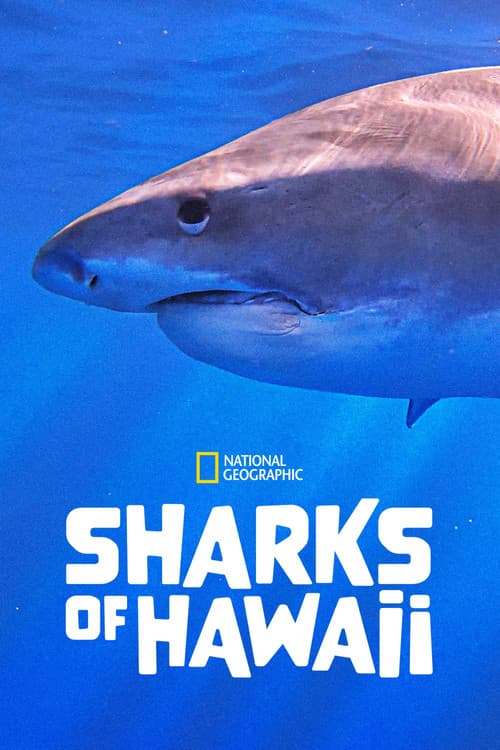 Sharks of Hawaii (2021) poster