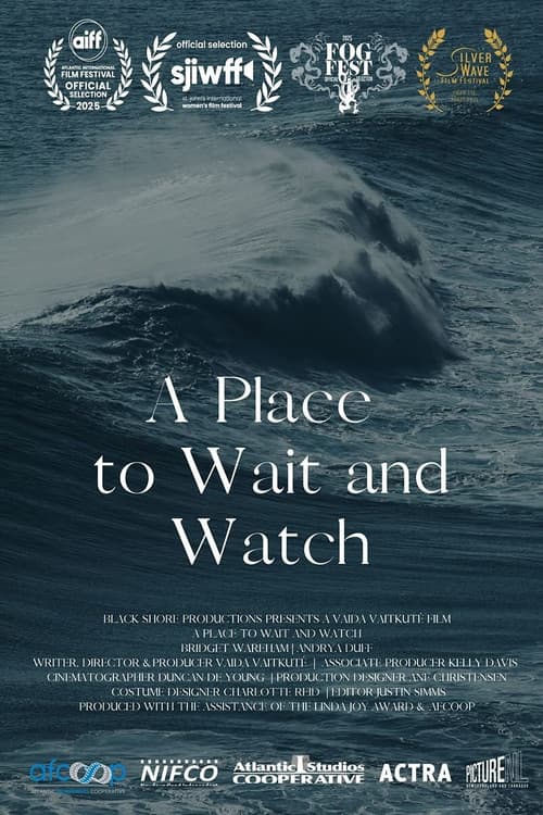 A Place to Wait and Watch (2025) poster