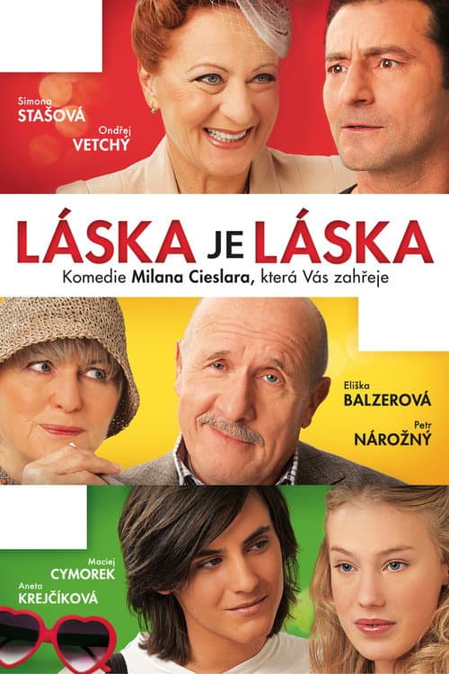 Láska je láska (2012) poster