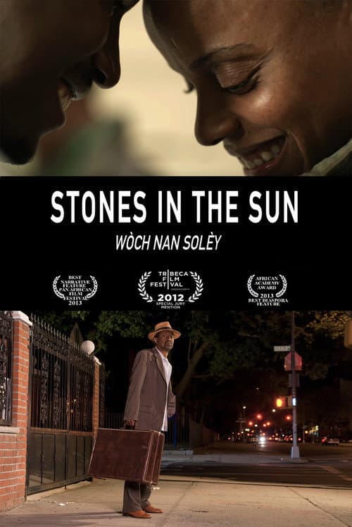 Stones in the Sun (2014) poster