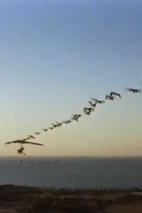 The Ultra Geese (1998) poster