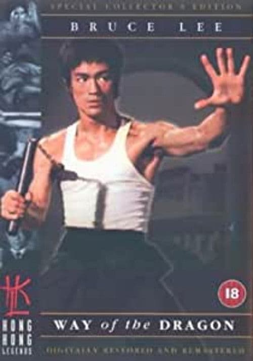 Reflections on 'the Little Dragon' (2001) poster