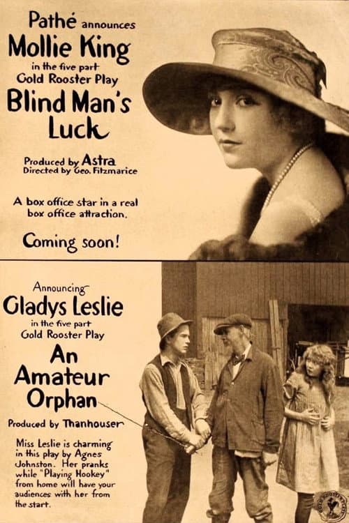 Blind Man's Luck (1917) poster