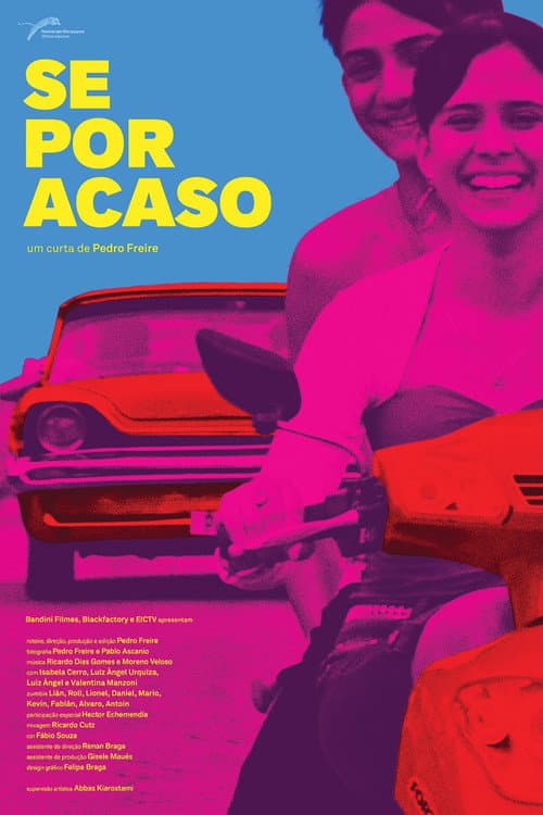 Se por acaso (2016) poster