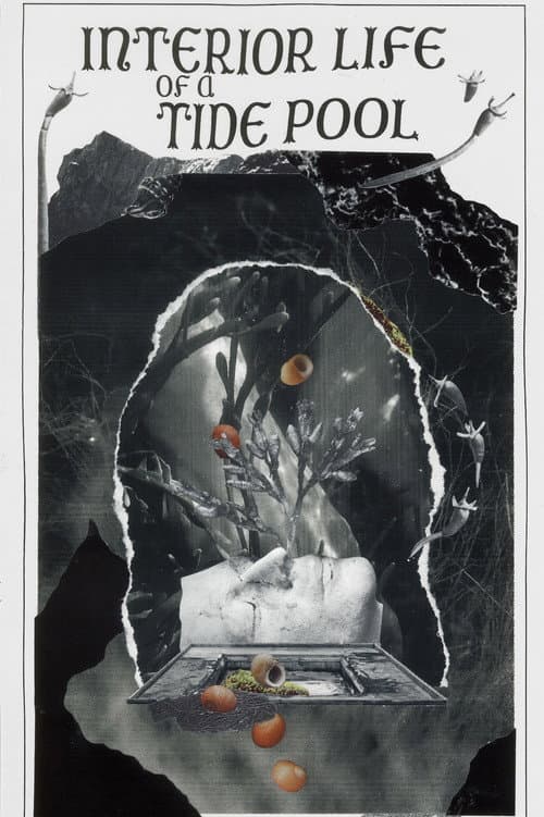 Interior Life of a Tidepool (2022) poster